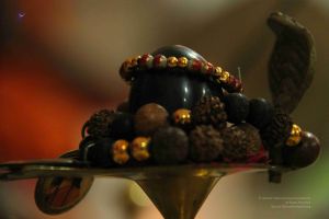 20131016 Photo 113 1GoM3P2Pr8Pd8Pwz3CxJR5jlAQUMmamsy.jpg