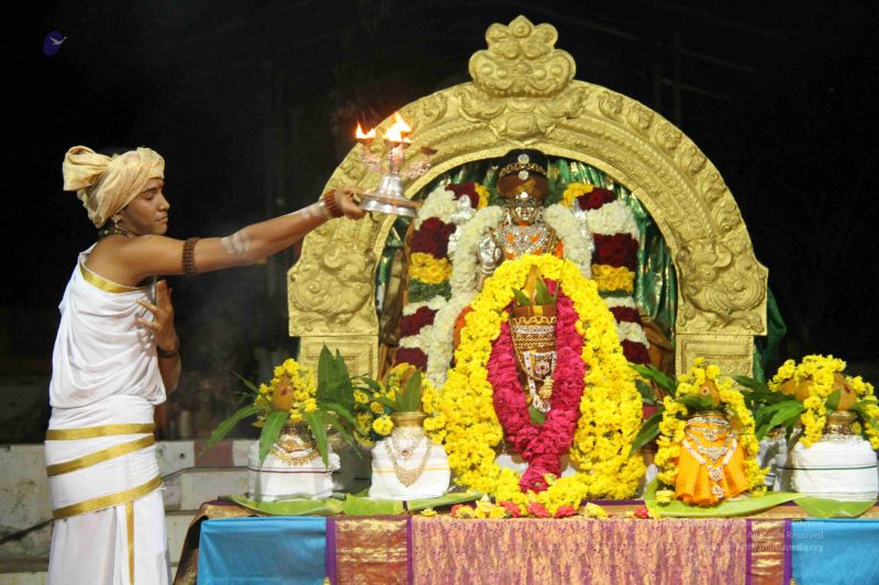 File:20131016 Photo 311 169U5aqwSdsR4I7dNqTfFBJOQAgRUUYTn.jpg