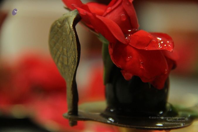 20131017 Photo 1014 1EurtoRZ 5WmogIwnECEzRddW8SC1TLcL.JPG