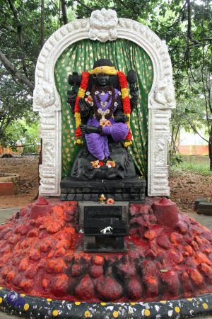 20131022 Photo 1131 151WpmBX2OvJJPvbWIa1v5evquNu2LSzI.JPG