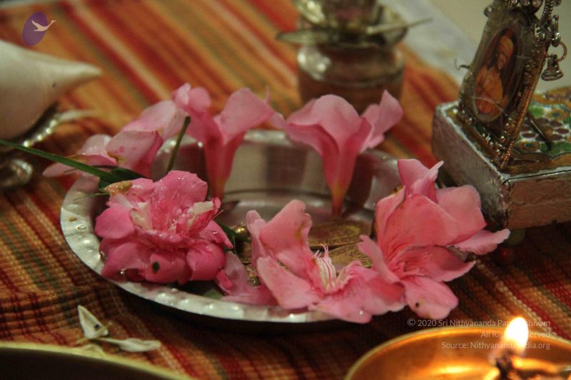 File:20131026 Photo 1014 1hXRllI6jwH1yUC6KslPCET7WKFA8S7ig.JPG