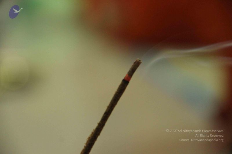 File:20131026 Photo 1017 1xNVF~GW8qj5dfD4DfVQRhoZDix3a9Gd.JPG