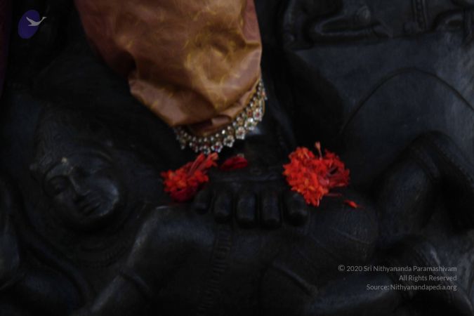 20131102 Photo 1548 15yF9NzW38PoAfTzfQ6nWT03mSsHbRJmS.JPG