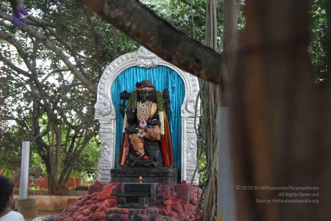 20131102 Photo 1555 1DkwbHkvIsid-03MxfVCHl5-0svCWFP3h.JPG