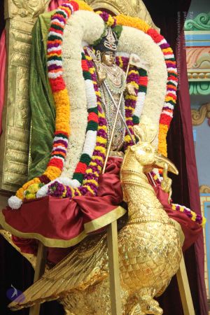 20131104 Photo 1005 1-JF5R78kYrQPejuaqMjZvbdI1-Gkj-NZ.JPG