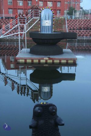 20131104 Photo 1040 1jsMsbl5FvjkgKSiZKh4b1PLDS56l p9Y.JPG