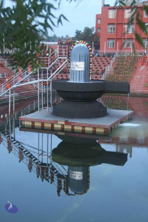 20131104 Photo 1054 1ffR fIalEi0njBBAQC986XOLvvVV7m5e.JPG