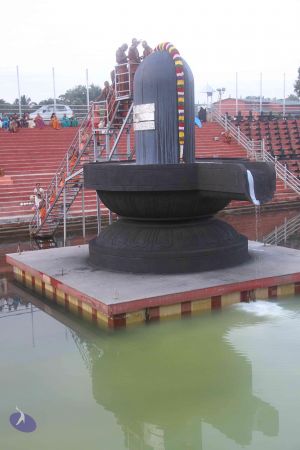 20131104 Photo 1125 1w8Jy9bdpgDExKaoar3cKd27Ehd9iDzwL.JPG