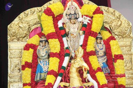 20131105 7437 CMP WM.jpg