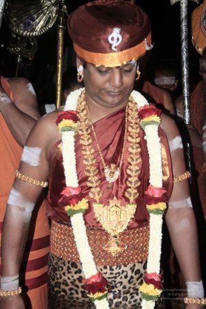 20131117 Photo 1212 1Z9pqN1SaoFdx6CgWpdjJB34uUcXSlkoN.JPG