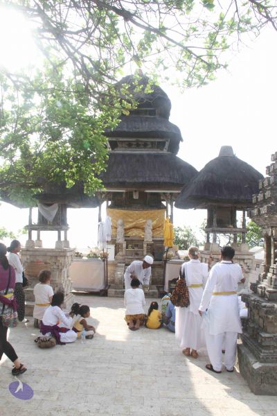 File:20131207 Photo 1118 1AhwaVHHFG7oRsZPkG15gQcvVI7Nc5uQi.JPG