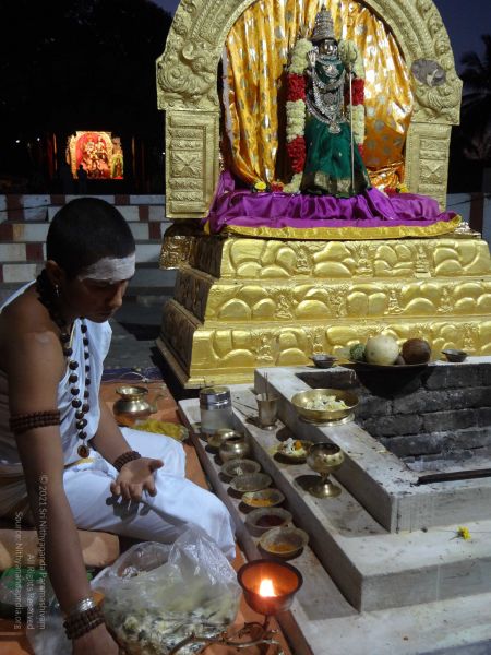 File:20131216 Photo 1023 1I0wdPEN6IBKzCc ChDDJ7lkJv7wzWLZ1.JPG