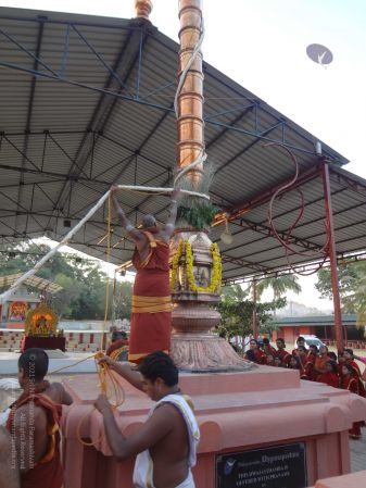 20131218 Photo 1050 11wd1zCITfFsvu6yYmnGYlJINrAA01fW6.JPG