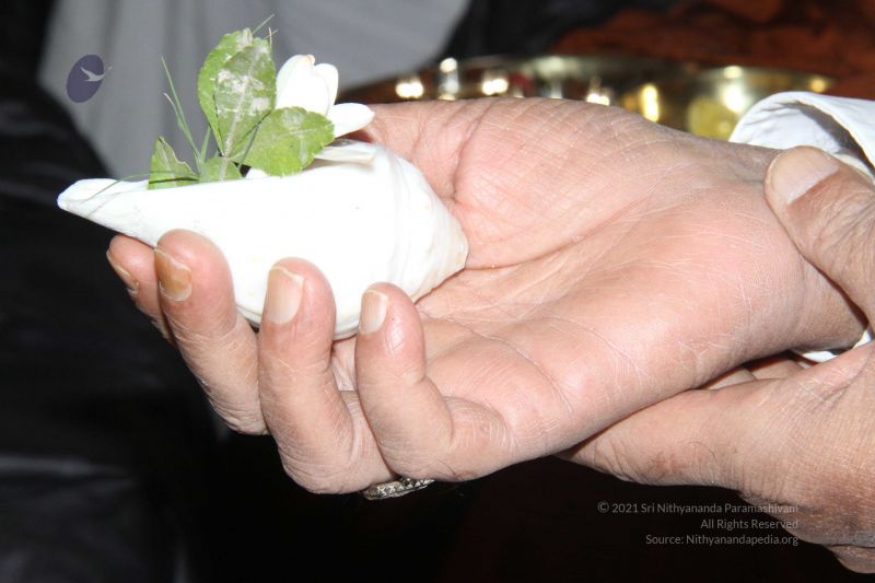 File:20131227 Photo 1119 1th1nB0lAqbYpBOqTh-9aeAfBCkZAahQa.JPG