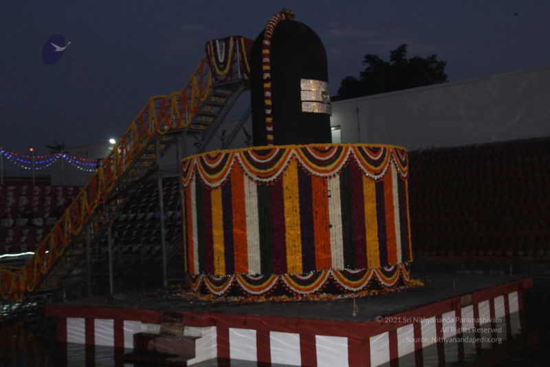 File:20131227 Photo 1310 1ZGW-WvTf-a3uCbznG7zL6lq8Svb j6yq.JPG