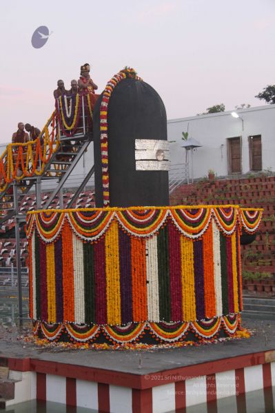 File:20131227 Photo 1342 1frdXVP6ofOKnBPt4JXSTGcv co5M91k8.JPG