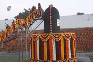 20131227 Photo 1351 1mUjR31rXcuL976SfdUbWfxkJP2lQGy4Q.JPG