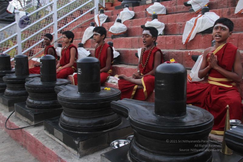 File:20131227 Photo 1359 1YeILc0I3t1H9Ls2MO7Th4rakivE H6cd.JPG