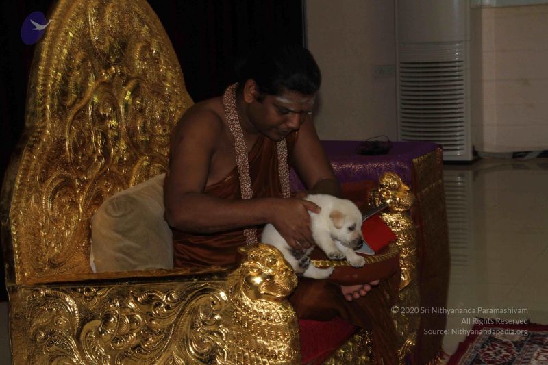 File:20131231 Photo 1135 1ermBtIENYbfdXqC ublA 0JSMydoIXgU.JPG