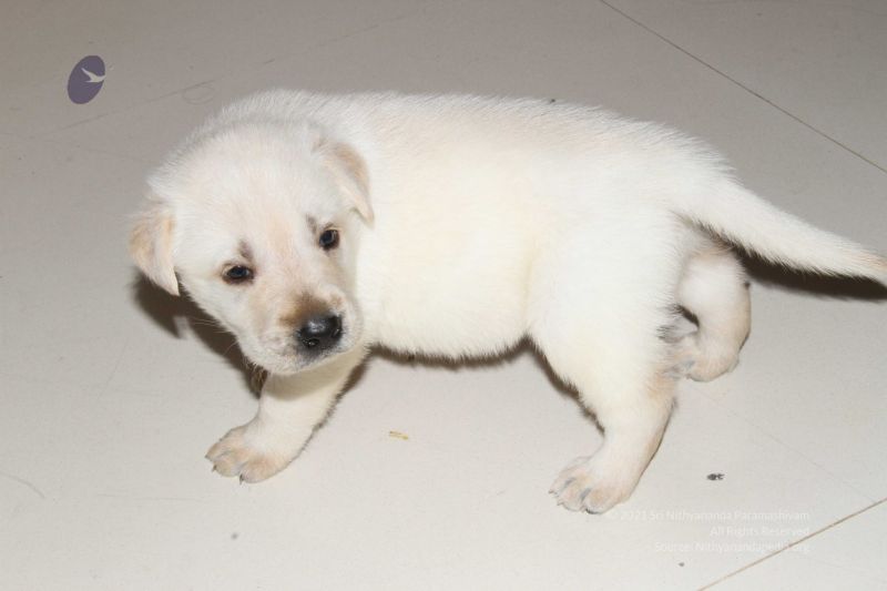 File:20131231 Photo 1175 1qeeceaaMYuUwWp8uXavuIMPyL04RIPyg.JPG