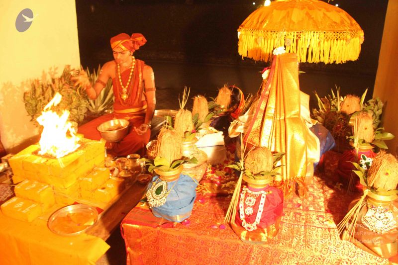 File:20140105 Photo 1046 1yd4w8v9JI15VkOUKQqr5mflwT 5zOdma.JPG