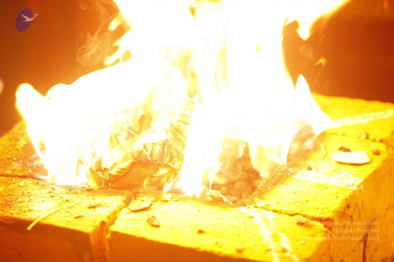 File:20140105 Photo 1120 1FSvir 564JYfFNbPkQykmH4Pl5N18SQe.JPG