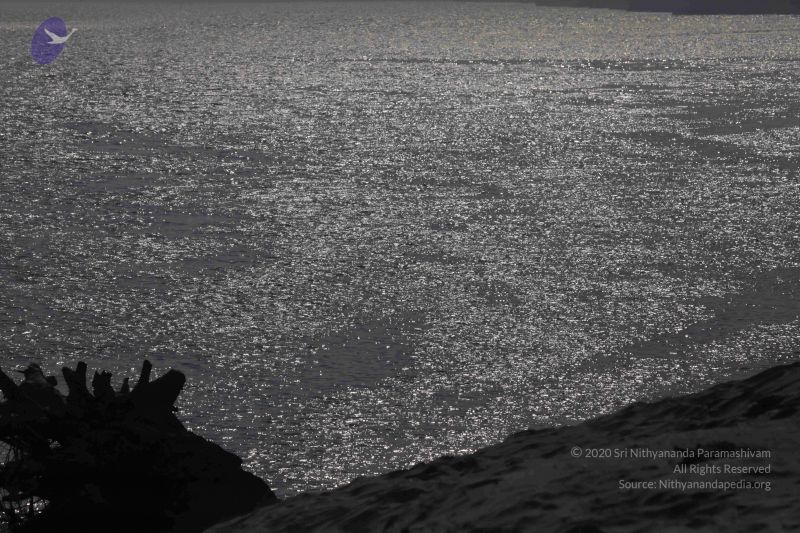 File:20140106 Photo 1333 1LaS83FJ1pYeSTJ8ichbJXcmQF1NV0WkA.JPG