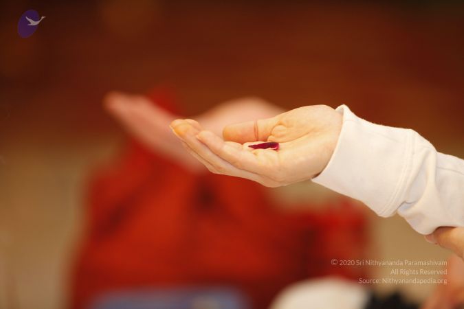 20140108 Photo 1122 1OwanTtYO06WZDcHHuvDtkaiSyN6Mli4M.JPG