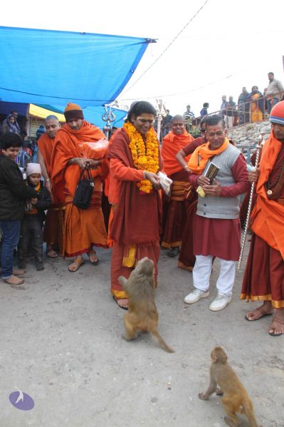 File:20140113 Photo 1046 1JFnPnF3NWFyeGquG7BSRUCjlehRZTeqV.JPG