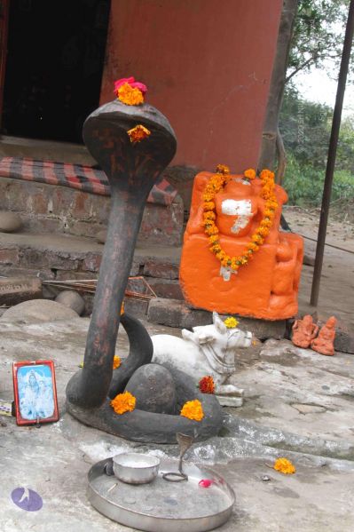File:20140113 Photo 1058 15ogneP3qlRvRj1z5BF-Ri9WJfz9yHE4y.JPG