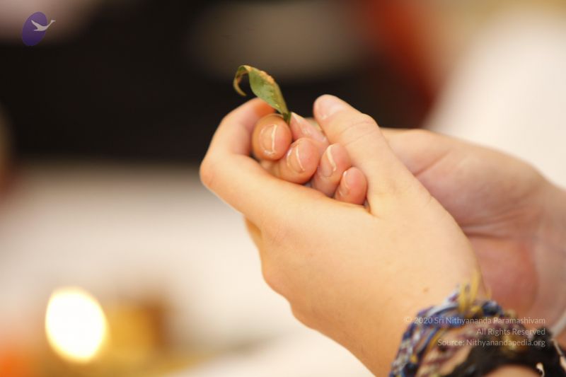 File:20140115 Photo 1002 18PXaZfuKO2Do5Q1WeOiVFQhmrtPH7 Fa.JPG