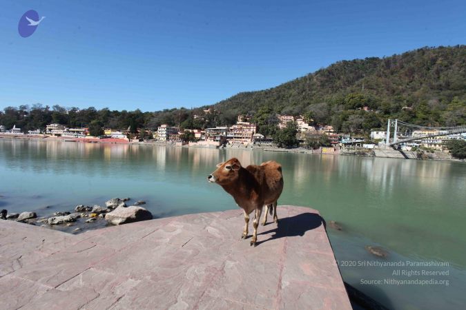 20140119 Photo 1165 1QNsP cRkrsUXClZolznYbVYJkaFYkwv8.JPG