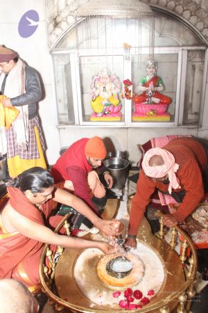 20140122 Photo 1161 1tj5ZPHt04cUJY6sr7RyTFxT0Gp9X1u4U.JPG