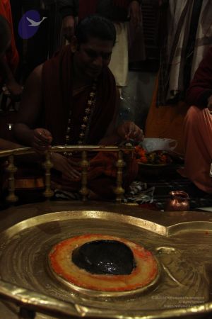 20140122 Photo 1164 1I8cUleGx8C2N4fDPKYR8LxCgUGy0hJlx.JPG