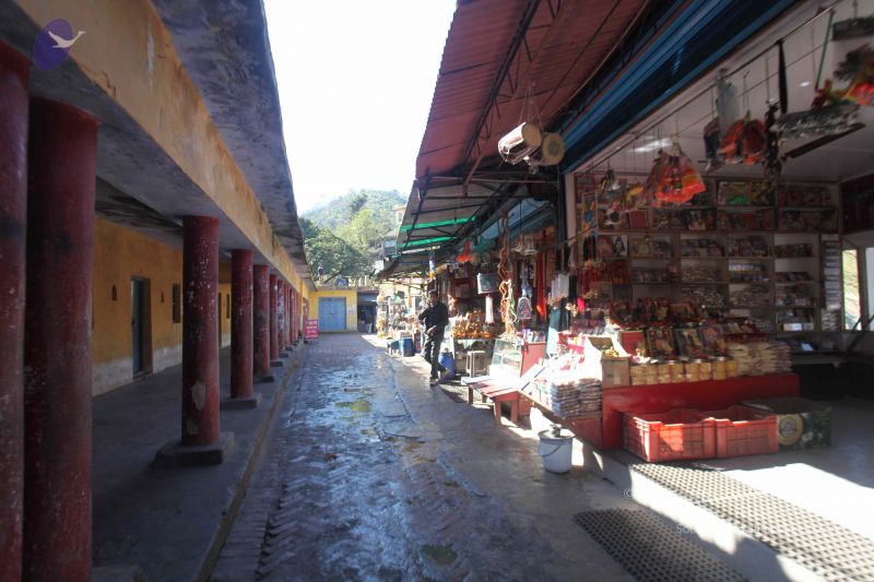 File:20140123 Photo 1059 1GT P2W32f8lSptVhasfnuQWAWcDJLrYC.JPG