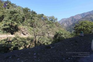 20140123 Photo 1078 1-S88-m3IdFWoCBG-LZt3Ywa7sgHYPkIL.JPG