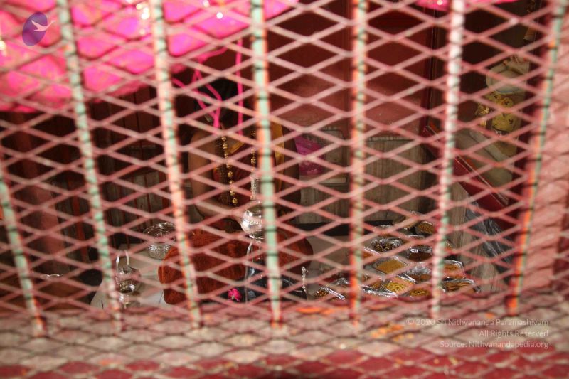 File:20140314 Photo 1390 1si59vUl6sEuIFcldjObComv7LeoDstoQ.JPG