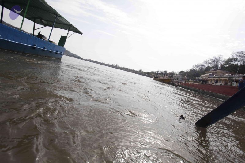 File:20140318 Photo 1076 1QLPGwrRH2NB0-0x9-4byzzW7mUztl01B.JPG