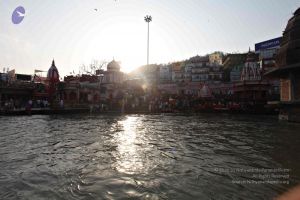 20140320 8422 CMP WM watermark.jpg