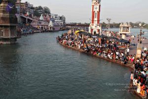 20140320 8429 CMP WM watermark.jpg