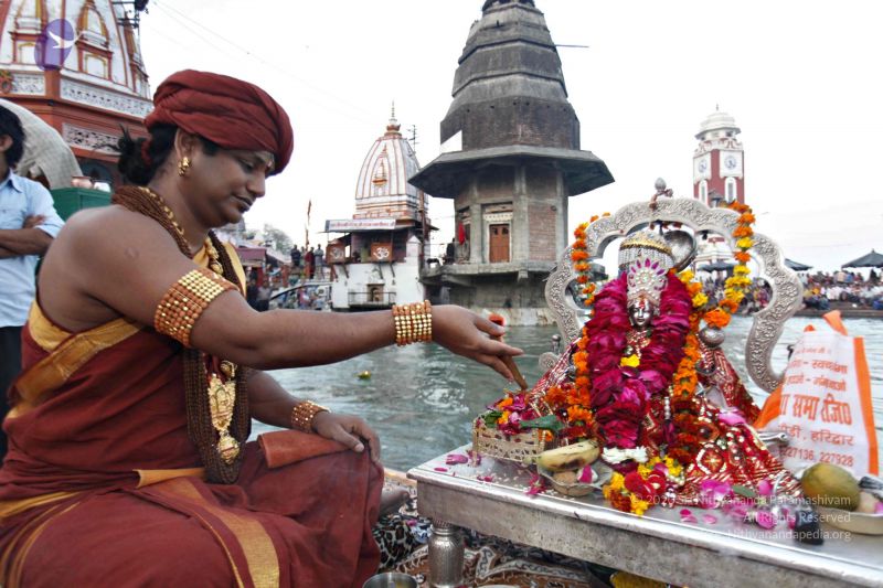 File:20140320 8539 CMP WM watermark.jpg