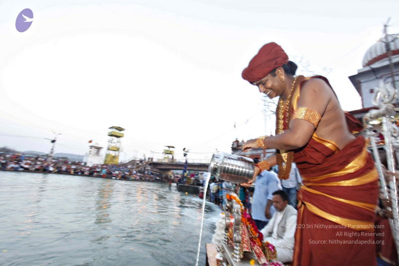 File:20140320 8614 CMP WM watermark.jpg