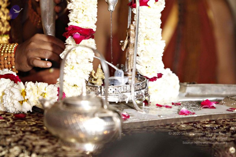 File:20140320 8793 CMP WM watermark.jpg