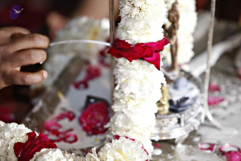 File:20140320 8809 CMP WM watermark.jpg