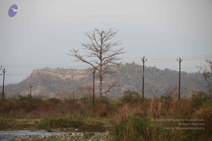 20140324 Photo 1092 1jC749z 6S6oWM LV62Hx71ps0N30rBjF.JPG