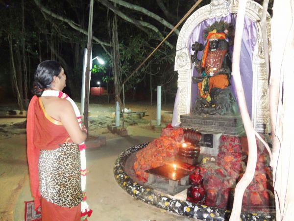 20140407 Photo 1014 1c1f2O-fZw3CgJCp5ZYSRUX97LslUv88i.JPG