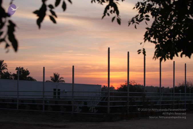 20140422 Photo 1017 1bgMexXSjUB28LdYjG6EoCtXwasOdI-md.JPG