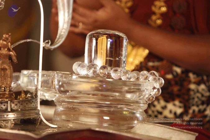 2014052020201210- MG 1054 CMP WM 1.jpg