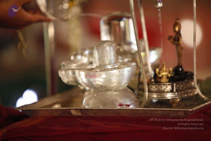 2014052020201210- MG 1091 CMP WM 1.jpg