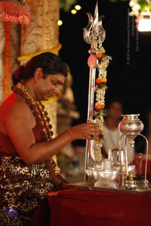 2014052020201210- MG 1098 CMP WM 1.jpg